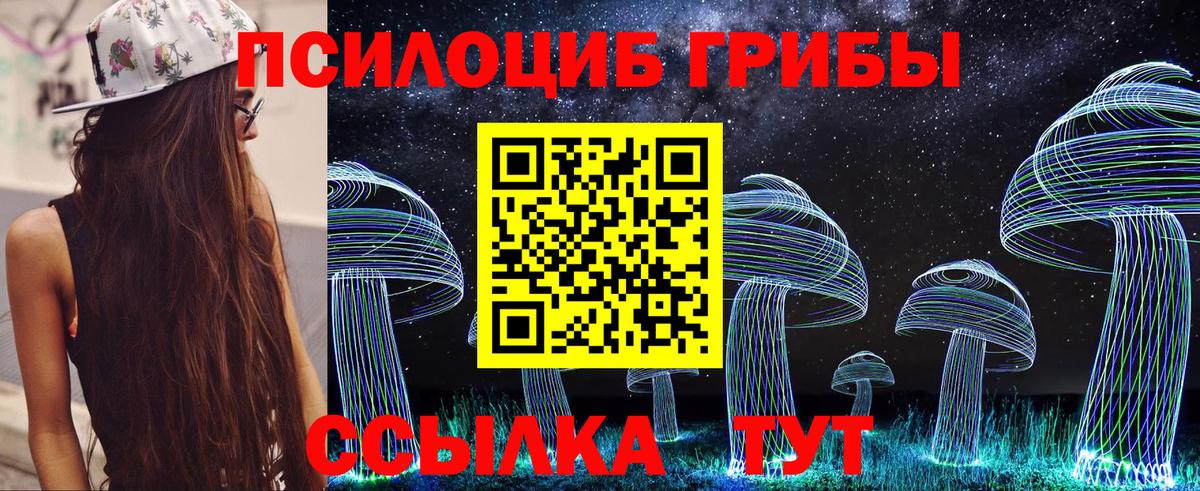 Псилоцибиновые грибы мицелий Озёрск